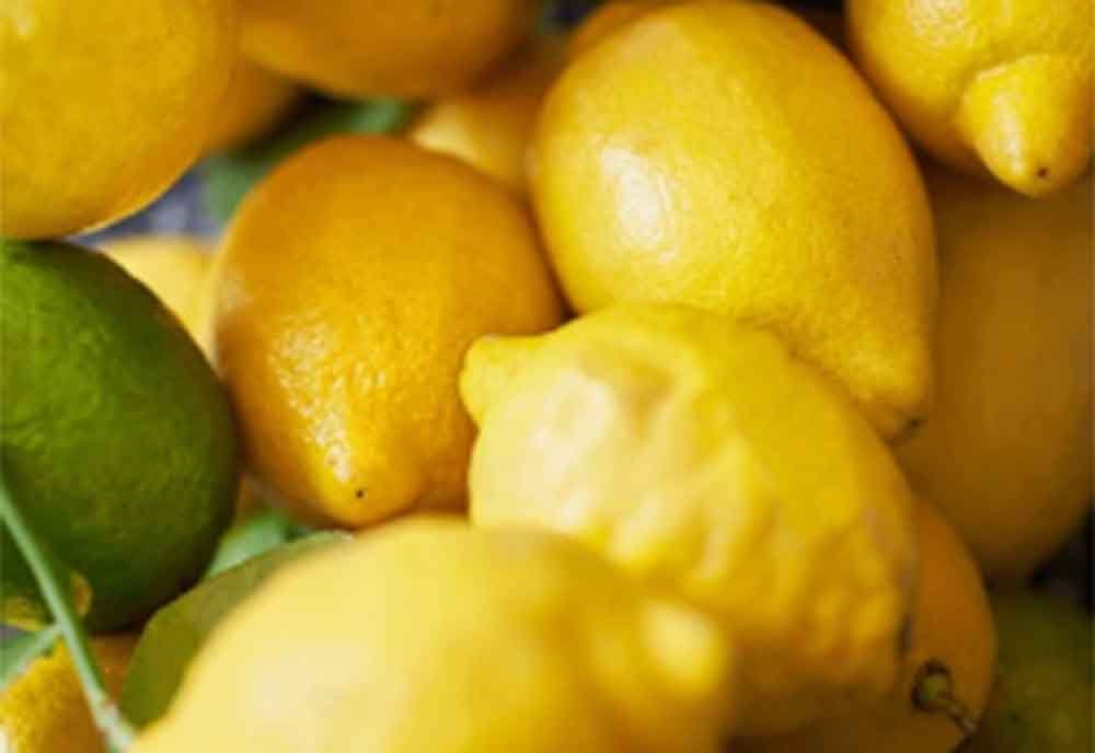 Zitronencreme, sizilianische Zitronen